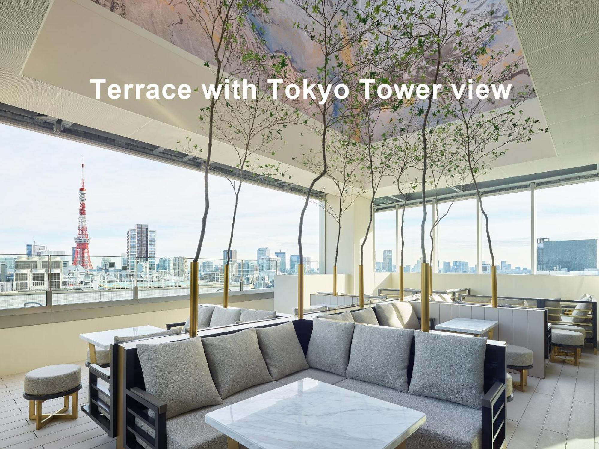 Mitsui Garden Hotel Roppongi Tokyo Premier Екстер'єр фото Terrace with Tokyo Tower view